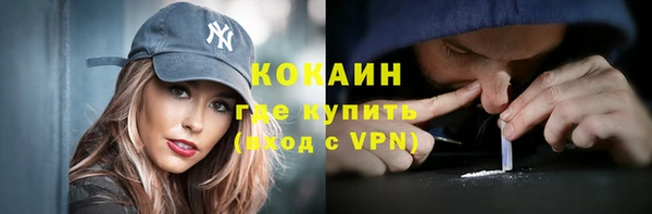 молекула духа Арсеньев