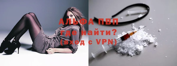 молекула духа Арсеньев