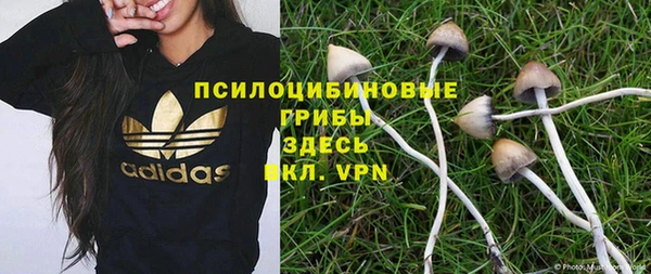 стафф Алексин
