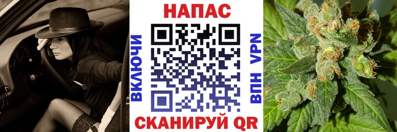 Каннабис конопля  магазин продажи   Нея 